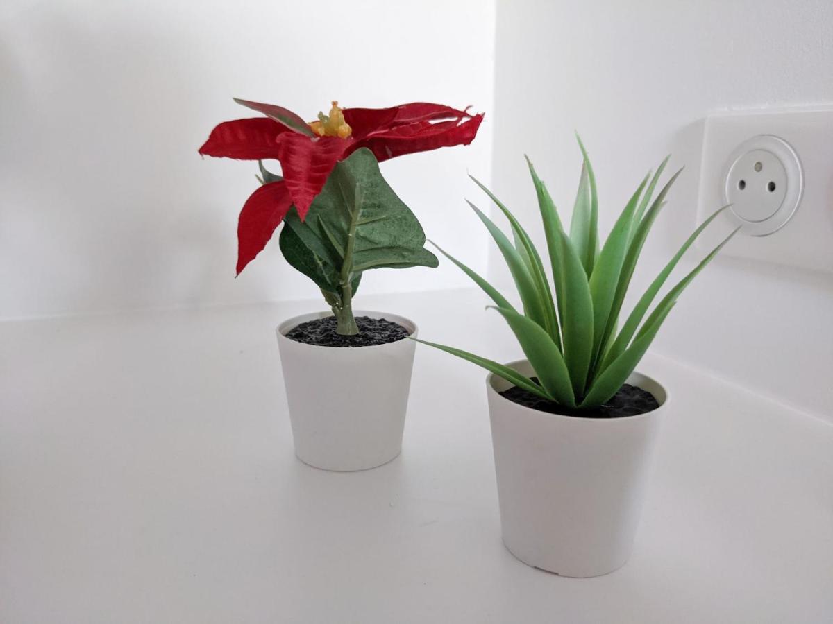 Reves Paisibles Rubis - Choisy Appartement Buitenkant foto